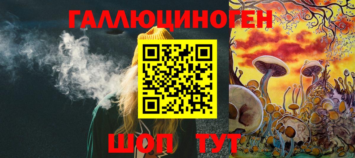 Галлюциногенные грибы прущие грибы  Вход с VPN  Нижнеудинск 